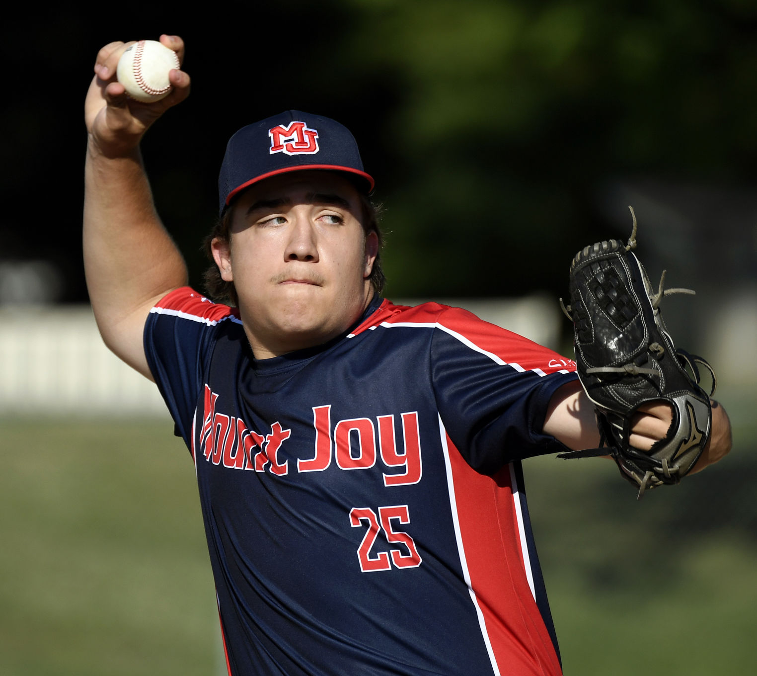 Mt. Joy vs Hempfield-LanCo Youth Baseball 14U